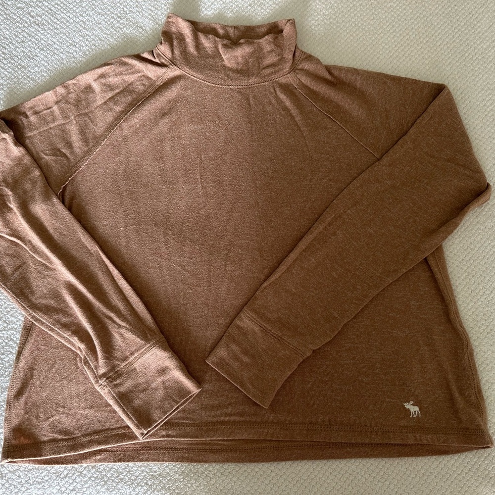 Abercrombie & Fitch Brown Turtleneck crop top